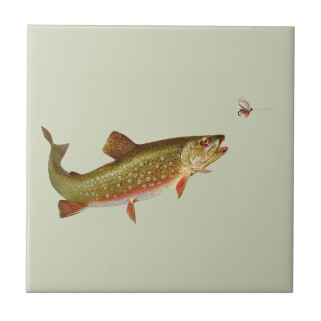 Vintage Rainbow Trout Fly Fishing Ceramic Tile (Front)