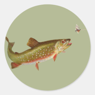 Vintage Rainbow Trout Fly Fishing Classic Round Sticker