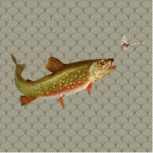 Vintage Rainbow Trout Fly Fishing Cutout
