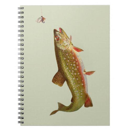 Vintage Rainbow Trout Fly Fishing Notebook