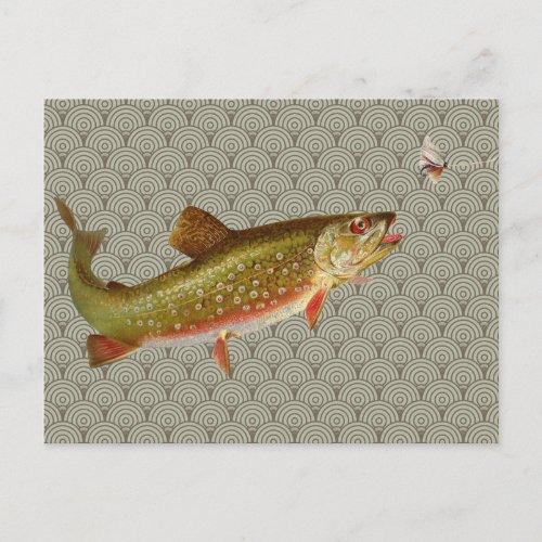 Vintage Rainbow Trout Fly Fishing Postcard