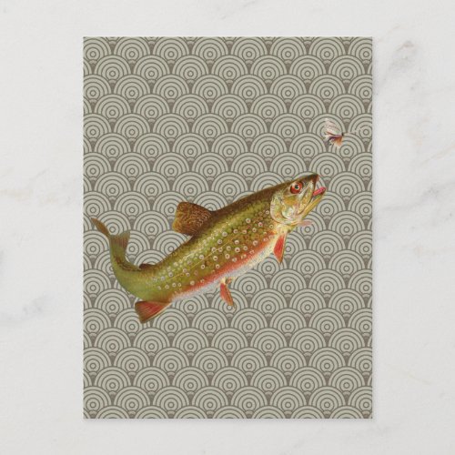 Vintage Rainbow Trout Fly Fishing Postcard