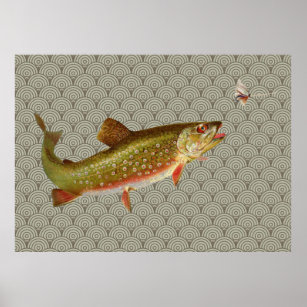 Rainbow Trout Fly Fishing Poster