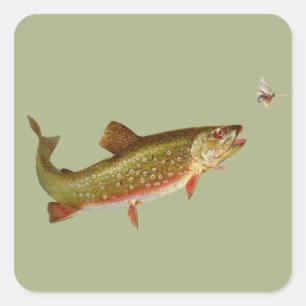 Vintage Rainbow Trout Fly Fishing Square Sticker