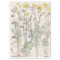 Vintage Ranunculus Wildflower Flowers Tissue Paper