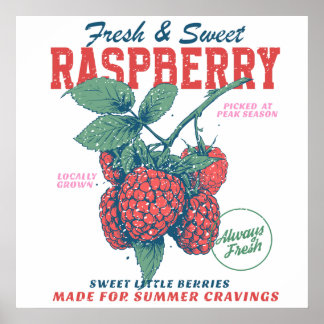 Vintage Raspberry Fresh Sweet Berries Kitchen Poster