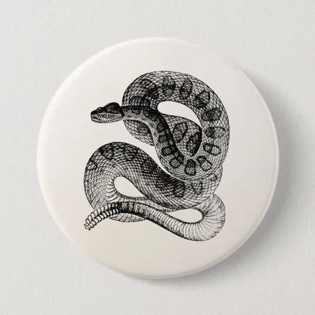 Vintage Rattlesnake Reptile Snake Template Button | Zazzle