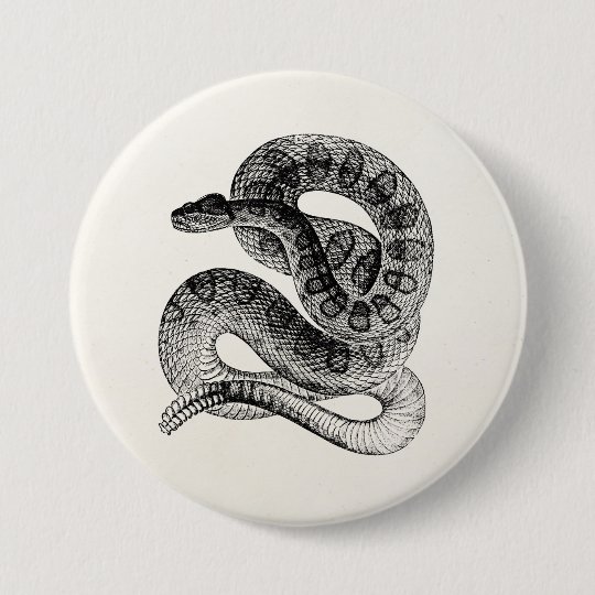 vintage rattlesnake reptile snake template button zazzle com