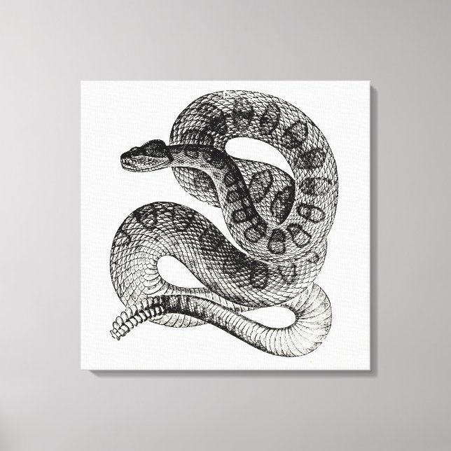 Vintage Rattlesnake Reptile Snake Template Canvas Print (Front)