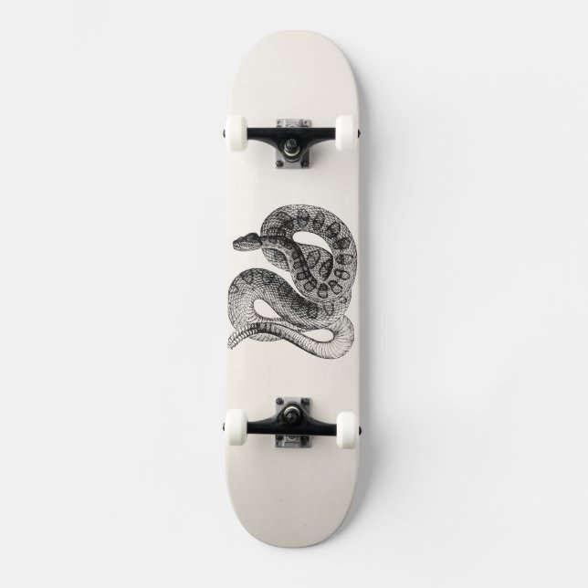 Vintage Rattlesnake Reptile Snake Template Skateboard Deck (Front)