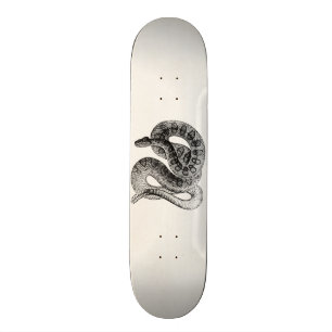 Vintage Rattlesnake Reptile Snake Template Skateboard Deck