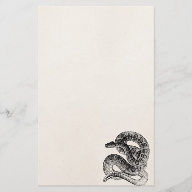 Vintage Rattlesnake Reptile Snake Template Stationery (Front)