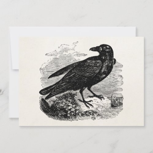 Vintage Raven Black Bird Crow Personalized Birds