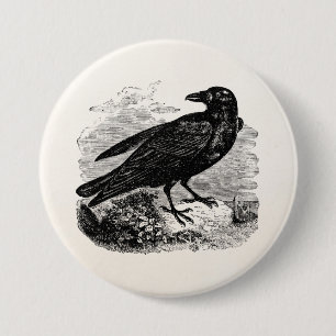 Vintage Raven Black Bird Crow Personalized Birds Pinback Button