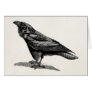 Vintage Raven Crow Blackbird Bird Illustration
