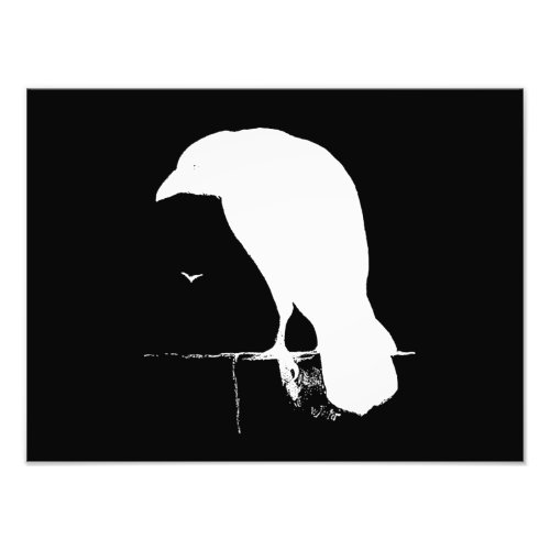 Vintage Raven Silhouette White on Black _ Custom Photo Print