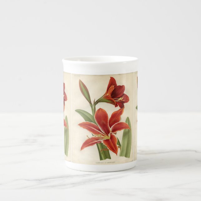 Vintage Red Amaryllis Christmas Gift Mug (Front)