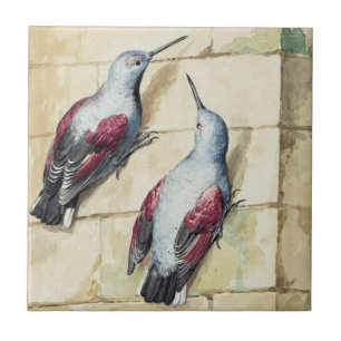 Vintage Red and Gray Bird Watercolor Art Ceramic Tile