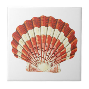 Vintage Red and Pale Yellow Scallop shell Acrylic  Ceramic Tile