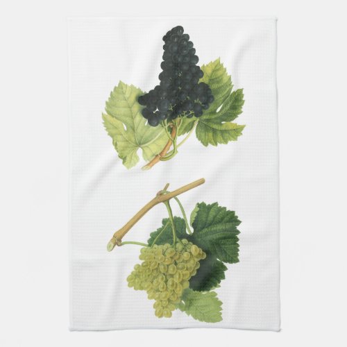 Vintage Red and White Wine Grapes on a Vine Fruit Kitchen Towel