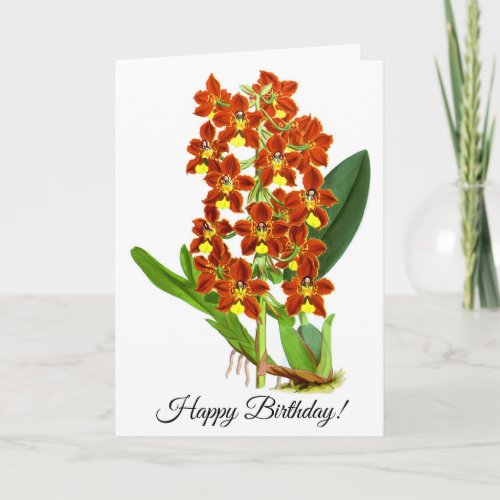 Vintage Red And Yellow Orchid Flower Personalized Card