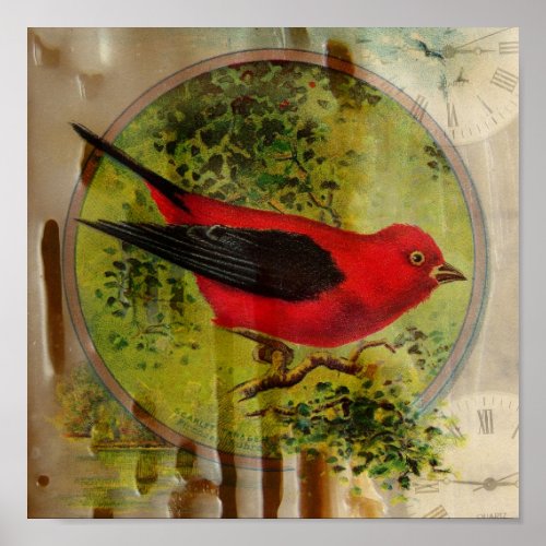 Vintage Red Bird Poster