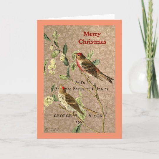 Vintage Red Birds / Merry Christmas Holiday Card | Zazzle.com