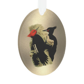 Vintage Red Black Magellanic Woodpeckers Christmas Ornament