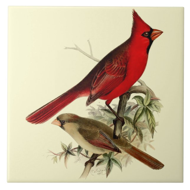Vintage Red Cardinal Birds Ceramic Tile (Front)