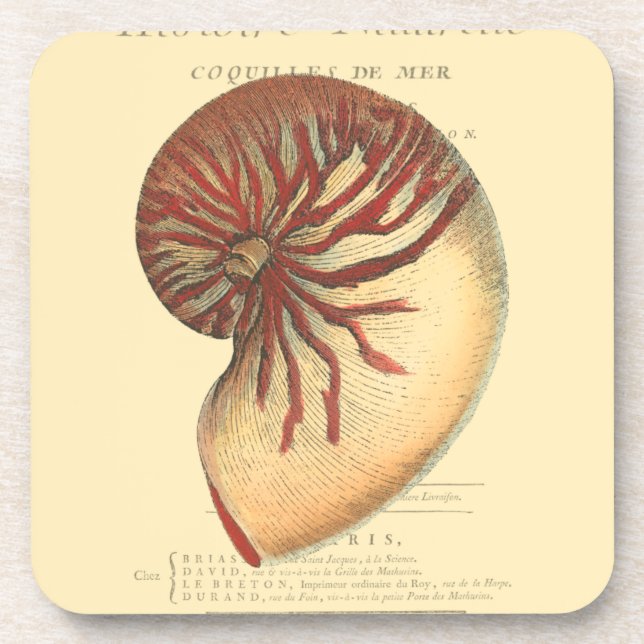 Vintage Red Conch Shell Beverage Coaster (Front)