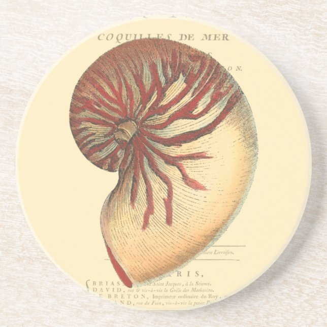 Vintage Red Conch Shell Drink Coaster (Front)