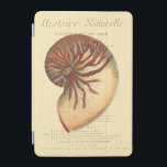 Vintage Red Conch Shell iPad Mini Cover<br><div class="desc">In this vivid image,  you can see in vintage natural and unique style of the red Conch shell up close. This unique type of art has black and red shading to accent the spiraling of this conch shell. Get this conch shell with an sepia background on your product today.</div>