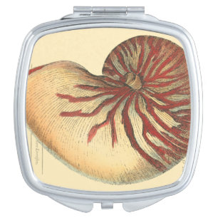Vintage Red Conch Shell Makeup Mirror