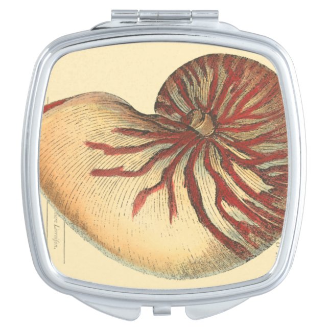 Vintage Red Conch Shell Makeup Mirror (Front)