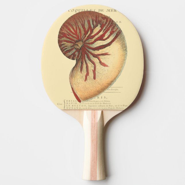 Vintage Red Conch Shell Ping-Pong Paddle (Front)