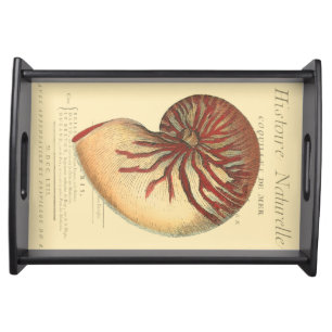 Vintage Red Conch Shell Serving Tray