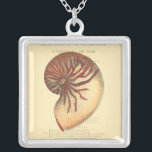 Vintage Red Conch Shell Silver Plated Necklace<br><div class="desc">In this vivid image,  you can see in vintage natural and unique style of the red Conch shell up close. This unique type of art has black and red shading to accent the spiraling of this conch shell. Get this conch shell with an sepia background on your product today.</div>