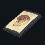 Vintage Red Conch Shell Trifold Wallet<br><div class="desc">In this vivid image,  you can see in vintage natural and unique style of the red Conch shell up close. This unique type of art has black and red shading to accent the spiraling of this conch shell. Get this conch shell with an sepia background on your product today.</div>