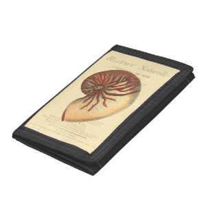 Vintage Red Conch Shell Trifold Wallet