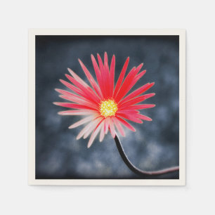 Vintage Red Daisy Flowers Paper Napkins