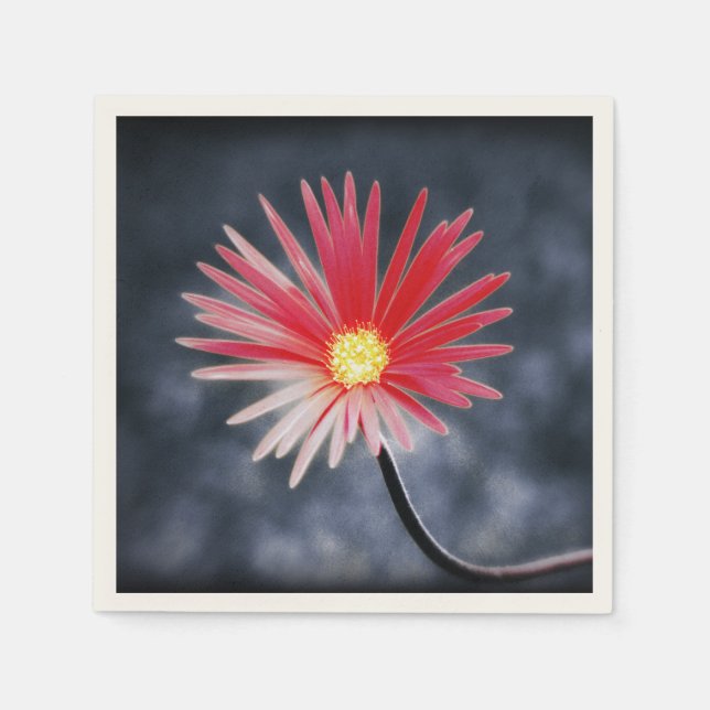 Vintage Red Daisy Flowers Paper Napkins (Front)