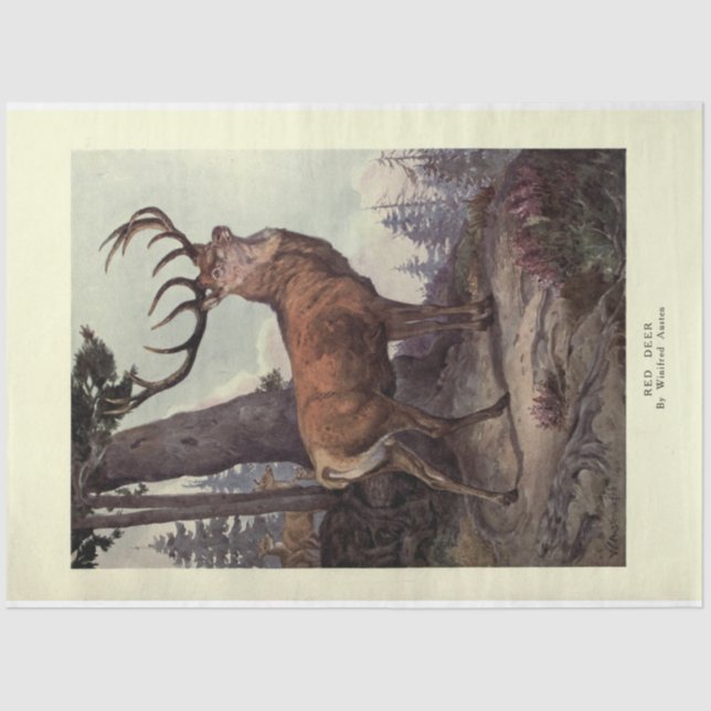 Vintage Red Deer Stag Ephemera Decoupage Tissue Paper (Front)