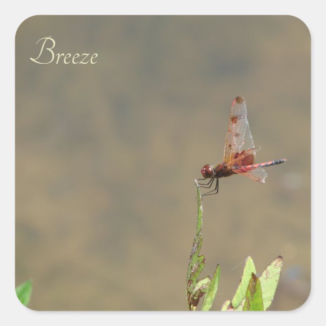 Vintage Red Dragonfly Botanical Personalized Labe Square Sticker (Front)