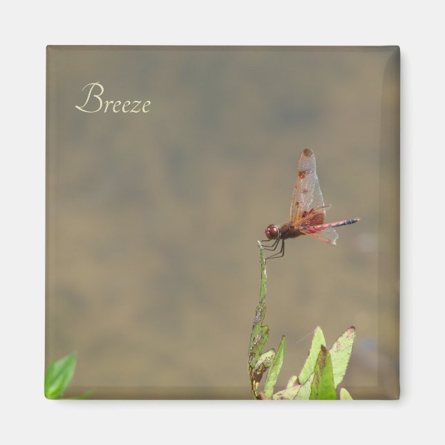 Vintage Red Dragonfly Custom Botanical Label Magnet (Front)