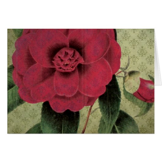 Vintage Red Flower Cards (Front Horizontal)