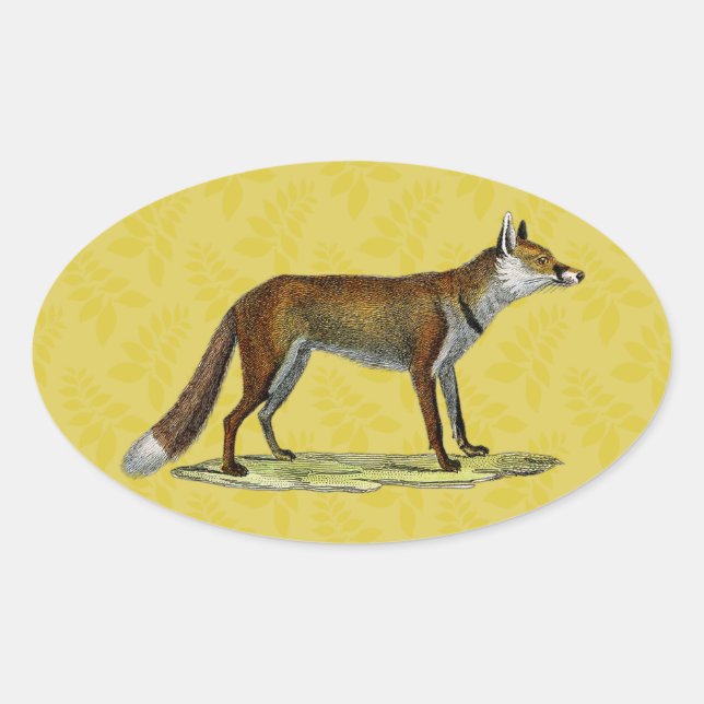 Vintage Red Fox Oval Sticker (Front)
