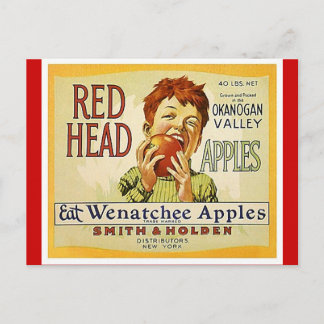 Vintage Red Head Brand Washington Apples Postcards