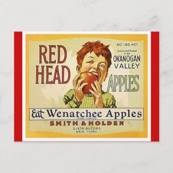 Vintage Red Head Brand Washington Apples Postcards by layooper at Zazzle
