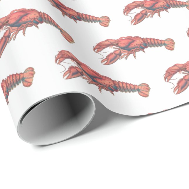 Vintage Red Lobster #2 Drawing Wrapping Paper (Roll Corner)