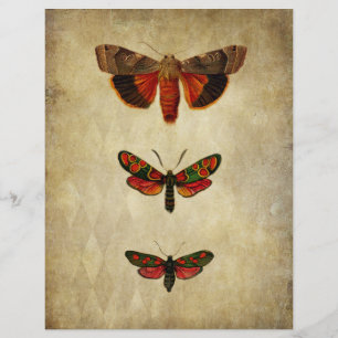 Vintage Red Moths Scrapbook Paper